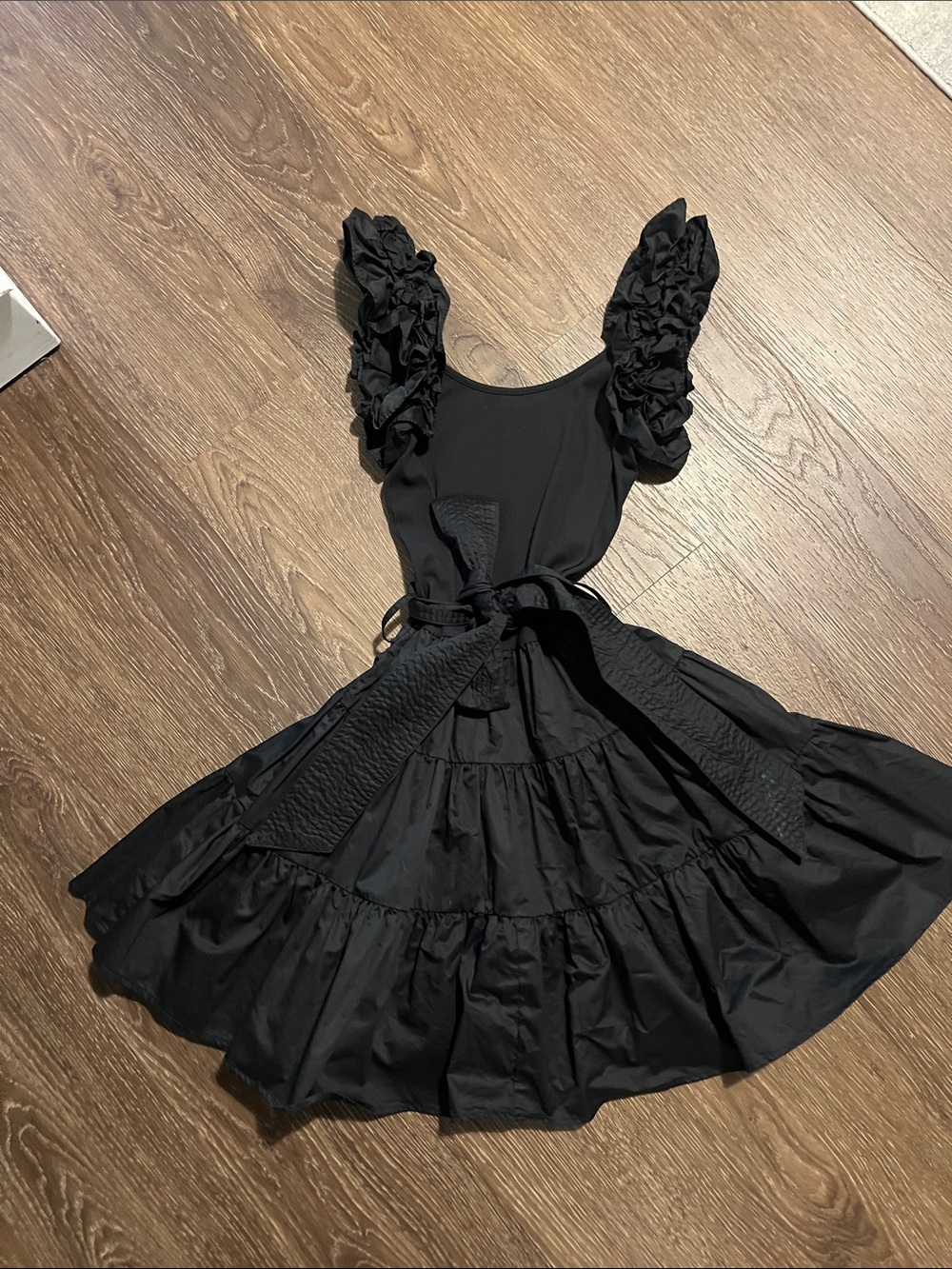 Karina Grimaldi Black Ruffled-Sleeve Fit & Flare Mini Dress Worn Once!